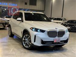 بي ام دبليو X5